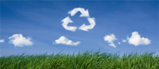 Ecological Assistance